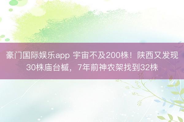 豪门国际娱乐app 宇宙不及200株!陕西又发现30株庙台槭,7年前神农架找到32株
