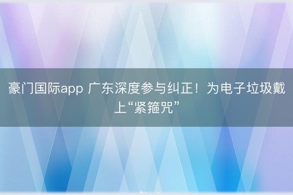 豪门国际app 广东深度参与纠正！为电子垃圾戴上“紧箍咒”