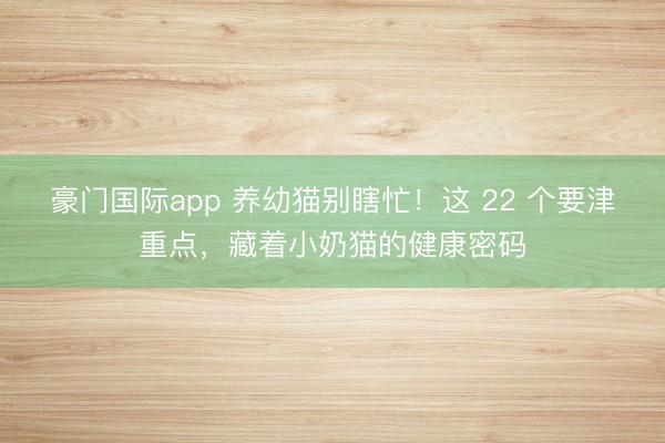 豪门国际app 养幼猫别瞎忙！这 22 个要津重点，藏着小奶猫的健康密码