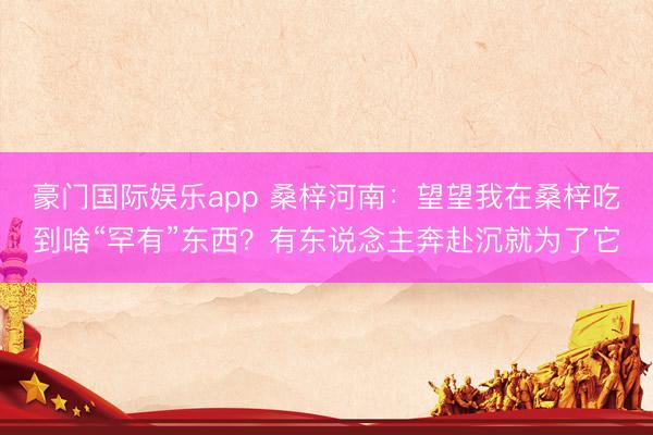 豪门国际娱乐app 桑梓河南：望望我在桑梓吃到啥“罕有”东西？有东说念主奔赴沉就为了它