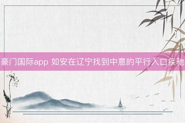 豪门国际app 如安在辽宁找到中意的平行入口疾驰