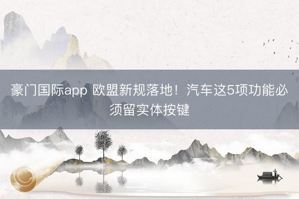豪门国际app 欧盟新规落地！汽车这5项功能必须留实体按键