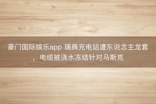 豪门国际娱乐app 瑞典充电站遭东说念主龙套，电缆被浇水冻结针对马斯克