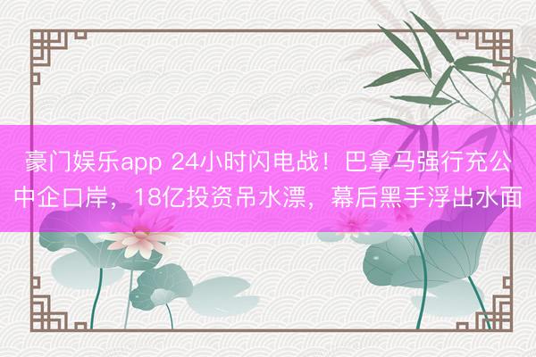 豪门娱乐app 24小时闪电战！巴拿马强行充公中企口岸，18亿投资吊水漂，幕后黑手浮出水面