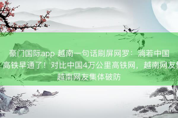 豪门国际app 越南一句话刷屏网罗：淌若中国一个省，高铁早通了！对比中国4万公里高铁网，越南网友集体破防